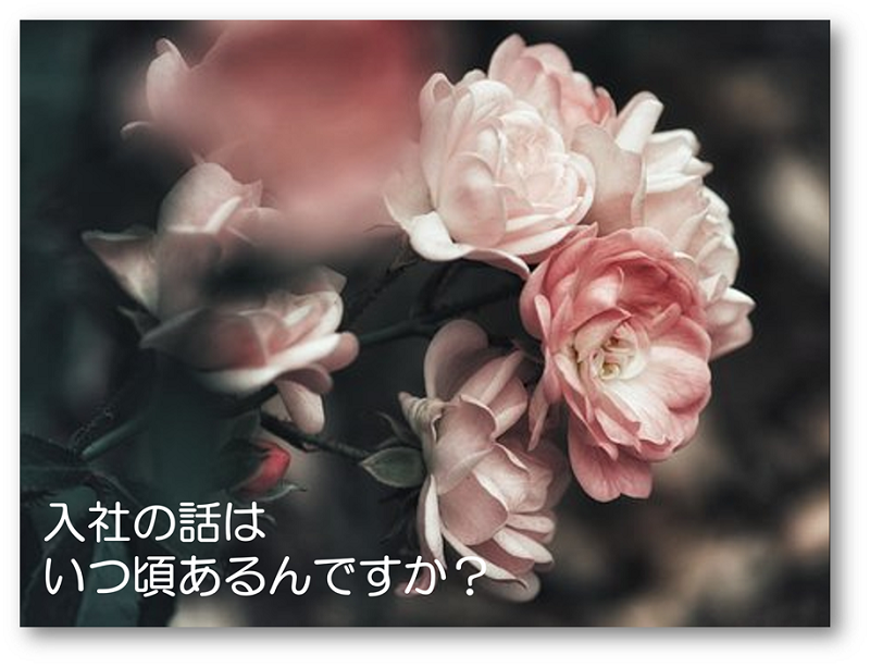 製薬会社から入社の話があるのはいつ 逆算して派遣期間を考えてみた Mrから経済的独立をめざすブログ